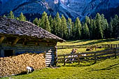 Parco Naturale Fanes-Senes-Braies. La traversata da San Vigilio di Marebbe al lago di Braies, localit Alte Kaser - Casere Alte. 